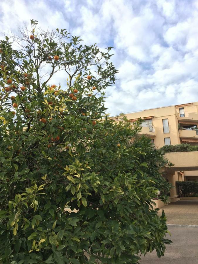 Les Orangers Appartamento Saint-Raphaël Esterno foto